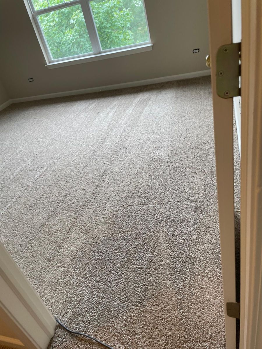 Freshly cleaned carpet in a sunlit bedroom